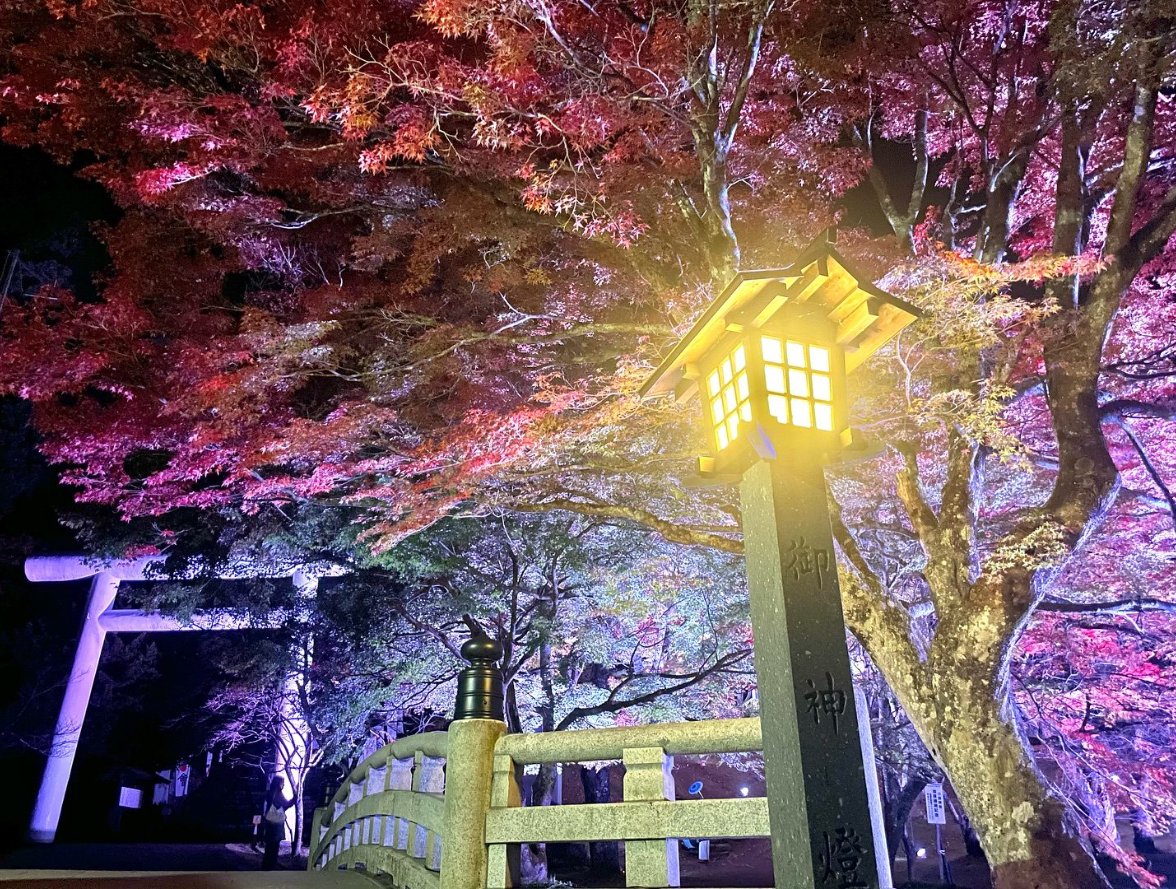 土津神社の紅葉ライトアップ